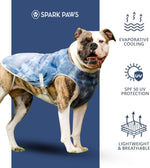 Dog wearing Spark Paws cooling vest outdoors
