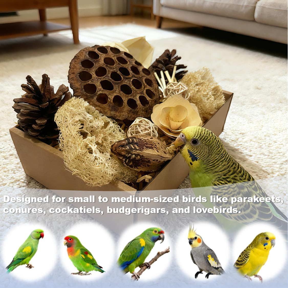 Ten natural eco friendly ingredients inside the PINEPOP avian foraging box.