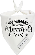 Realeaf Big Brother Dog Bandanas Pet Scarf for Small and Medium Male Dogs New Baby Announcement Pet Accessories Pregnancy Reveal Ideas (Big Brother, Small) - Image 12