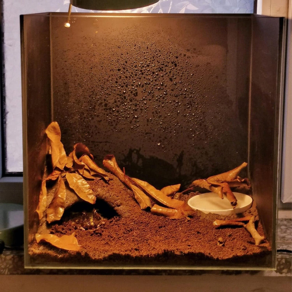 BNOSDM reptile soil substrate bag back panel with specifications