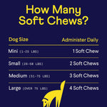 Finn Allergy & Itch for Dogs | Daily Support for Itchy Skin, Immune Health & Seasonal Allergies from Colostrum, Bee Propolis + Probiotics | 90 Soft Chews - Image 9