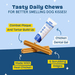 Barkbox Bright dental chew sticks with toothpaste gel tube