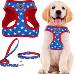PUPTECK Adjustable Dog Harness Collar and Leash Set Step in No Pull Pet Harness for Small Medium Dogs Puppy and Cats Outdoor Walking Running, Soft Mesh Padded Reflective Vest Harnesses, Blue L - Image 12