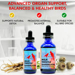 Premium organic liver care liquid for Indian ringnecks and canaries by Morning Bird