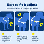 PetSafe Easy Walk No-Pull Dog Harness - Ultimate Harness to Help Stop Pulling - Pull-Free Walks - Take Control & Teach Better Leash Manners - Patented Martingale Loop Design - Black, Large - Image 9