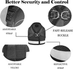 Reflective cat safety vest for outdoor walking night view