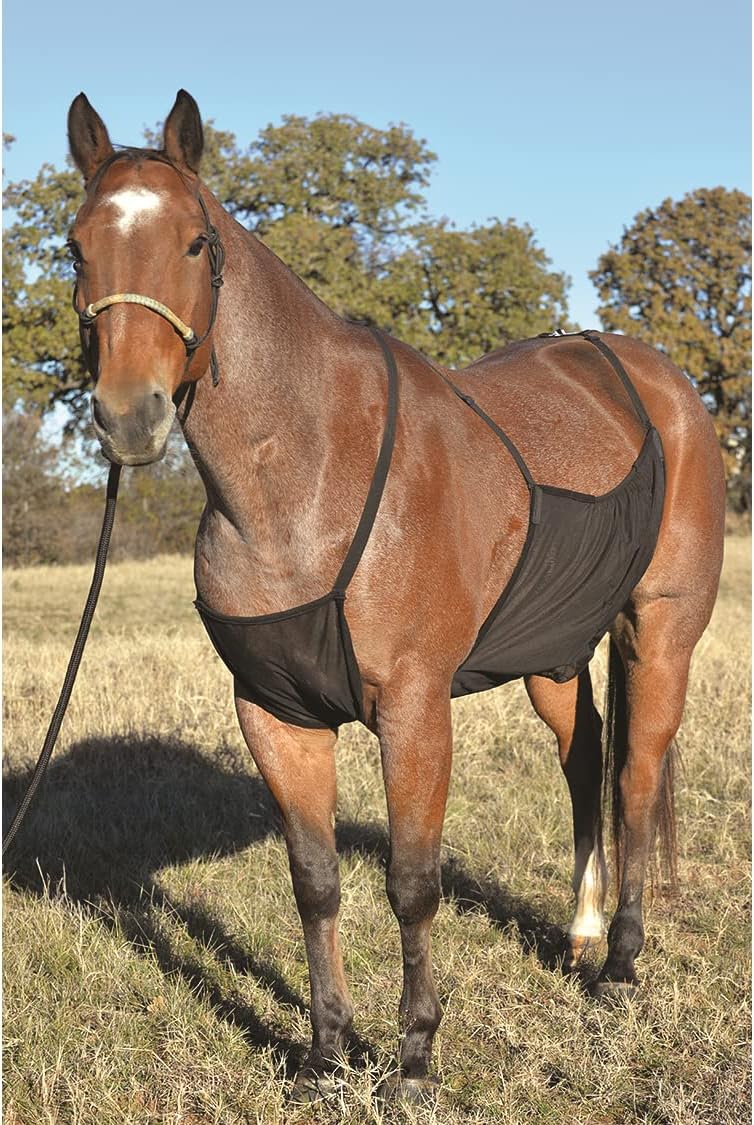 Cashel horse fly sheet belly guard adjustable straps close up view