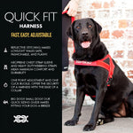 Close up of EzyDog one-click buckle mechanism