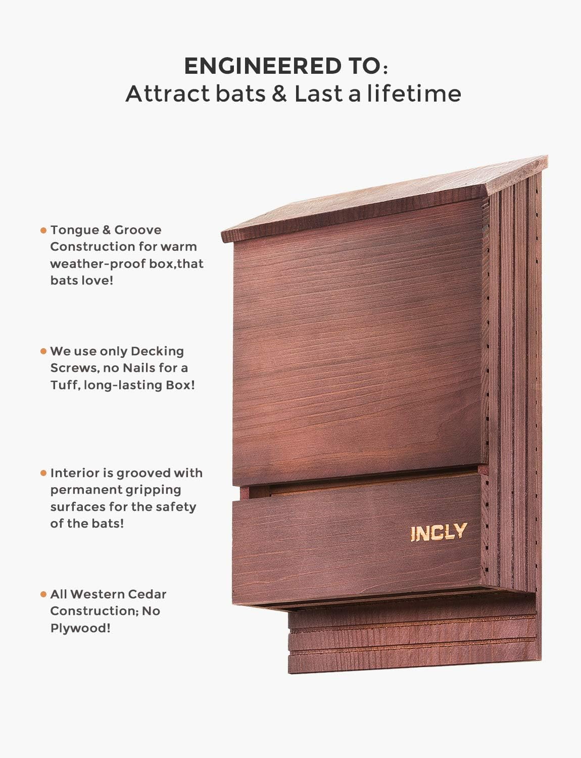 INCLY wooden bat box side profile and dimensions