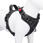 PHOEPET No Pull Dog Harness Medium Reflective Front Clip Vest with Handle,Adjustable 2 Metal Rings 3 Buckles,[Easy to Put on & Take Off](M, Orange) - Image 13