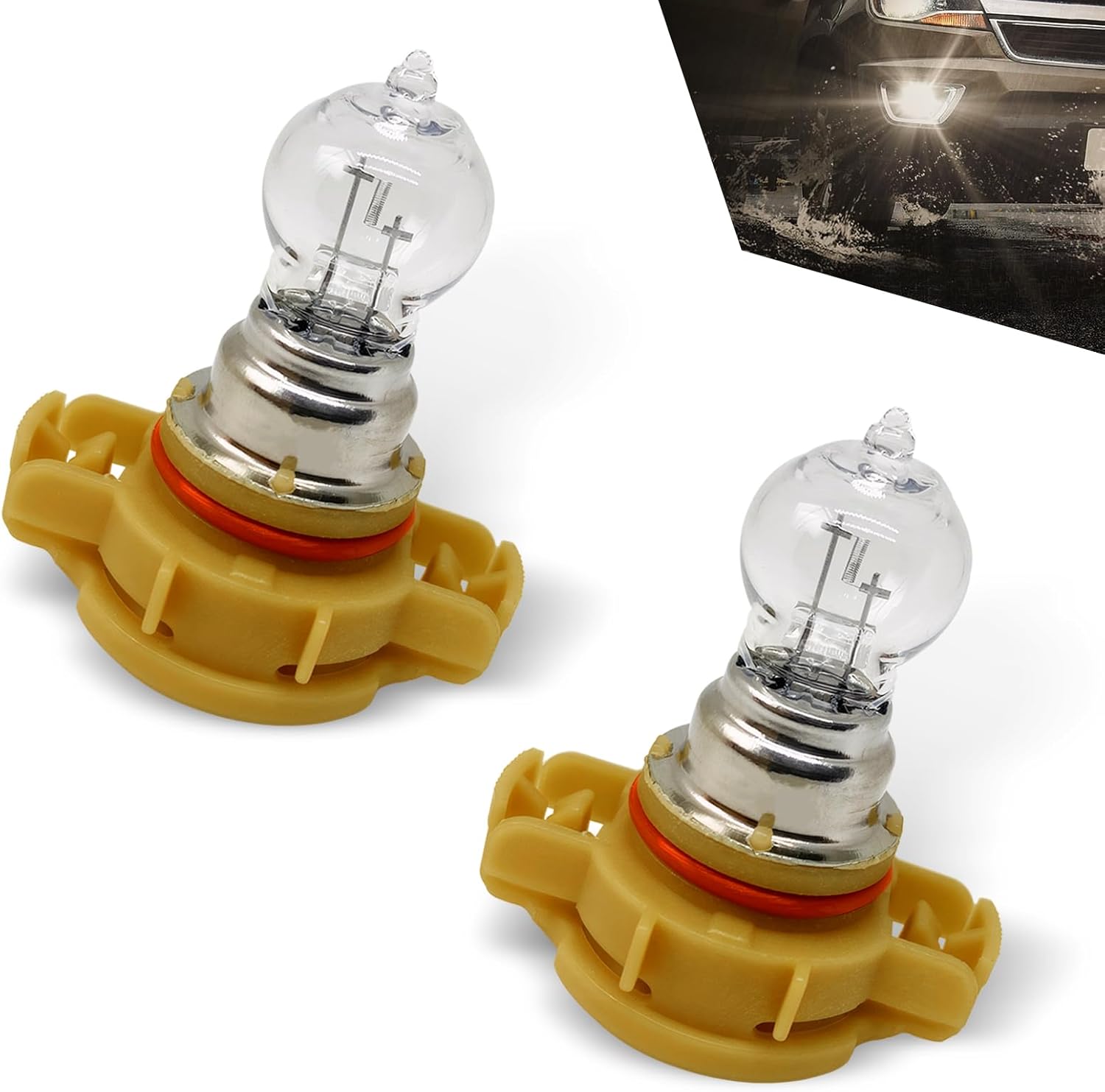 Downhill PSX24W halogen fog light bulbs front view showcasing the transparent quartz glass capsule and yellow base connector