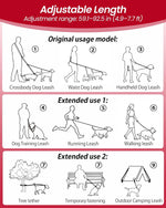 Detachable three in one dog leash system laid out flat.