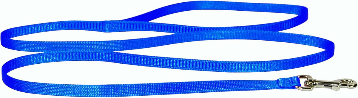Close up of heavy duty swivel snap on Hamilton cat leash