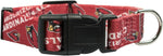 Little Earth NFL cat and dog collar vibrant color pattern