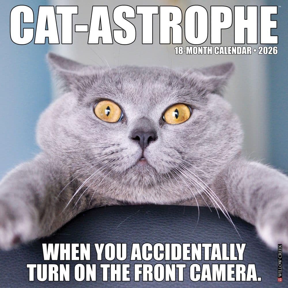 Willow Creek Press, Cat Astrophe 2026 Wall Calendar, 12'' X 12'', 18-Month Calendar with Stapled Binding - Image 1
