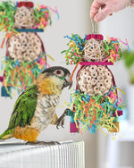 Small bird entertainment toy with hanging bell and pacifier