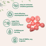 Micro Ingredients Creatine Monohydrate Gummies serving size and dosage details