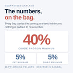 Northfin fish food container side angle