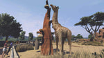 Zoo Tycoon Ultimate Animal Collection PC game disc case cover art