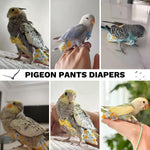Washable bird flight suit for indoor and outdoor poop control