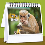Maad office desk flip book displaying mood expression card
