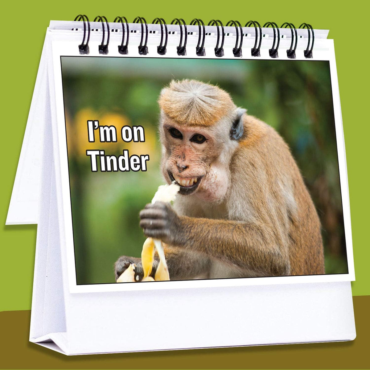 Maad office desk flip book displaying mood expression card