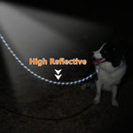 NTR nylon rope training lead coiled presentation