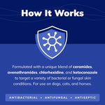 Covetrus veterinary formula wipes for fungal and bacterial skin treatment in horses and pets
