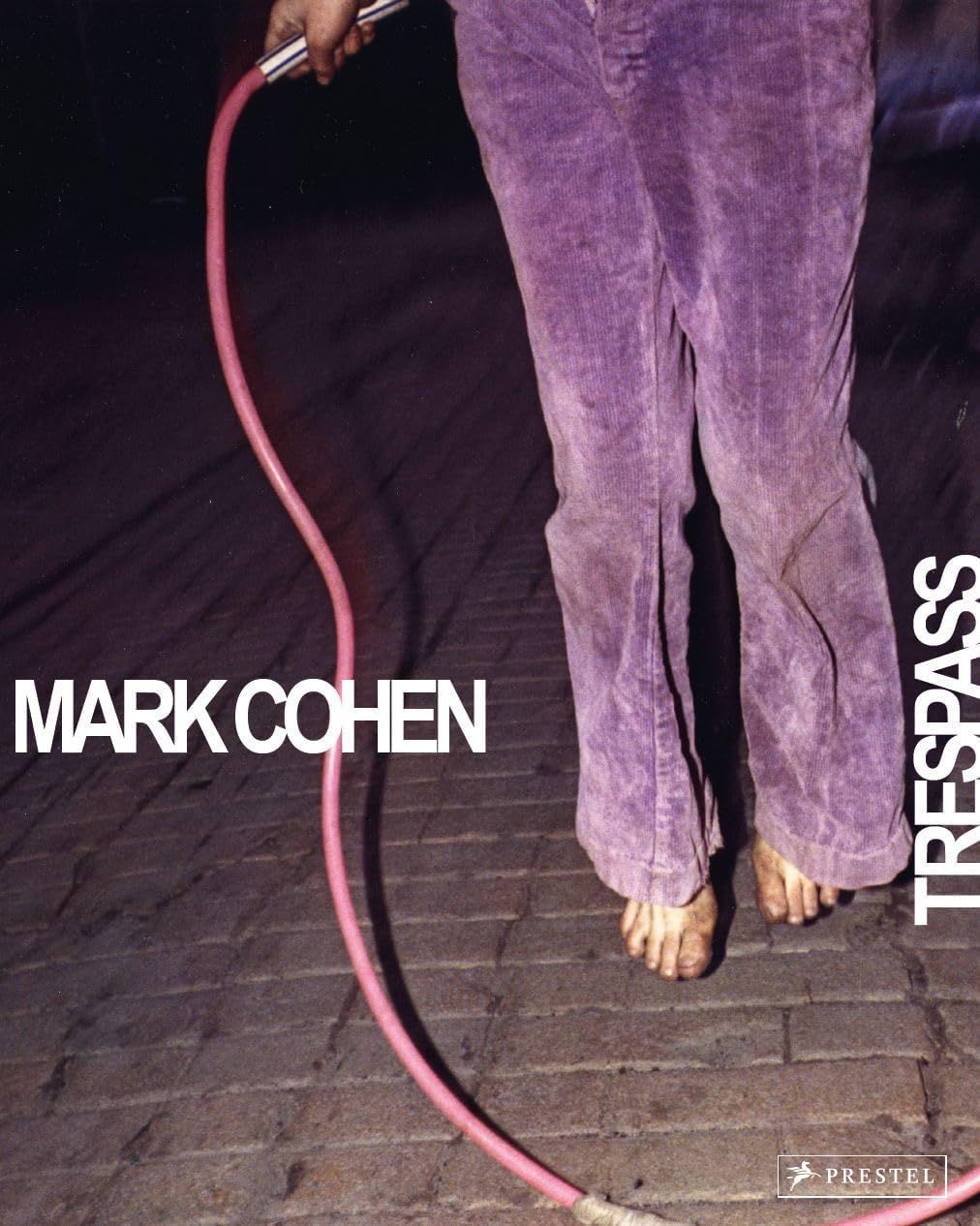 Mark Cohen: Trespass - Image 1