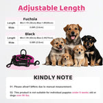 Dual pet walking leash with three hundred sixty degree rotating metal buckle close up.