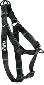 Large size Wolfgang DigiFloral harness flat lay product photography