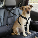 Adjustable nylon pet safety strap for vehicles