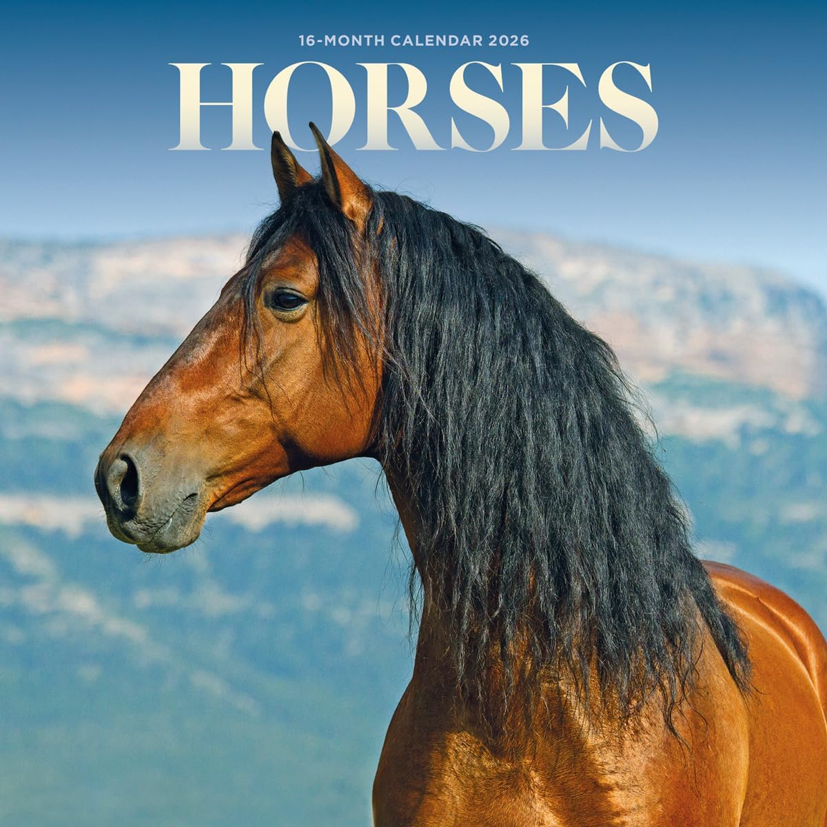2026 Horses Mini Wall Calendar - Image 1
