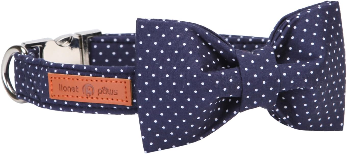 Lionet paws boy dog collar with bowtie front view showing navy blue pattern