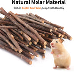 Hygienic packaging of ERKOON organic apple sticks for guinea pigs and hamsters.