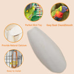 Two pieces of Kingmo large cuddle bone showing the exact dimensions for parakeets