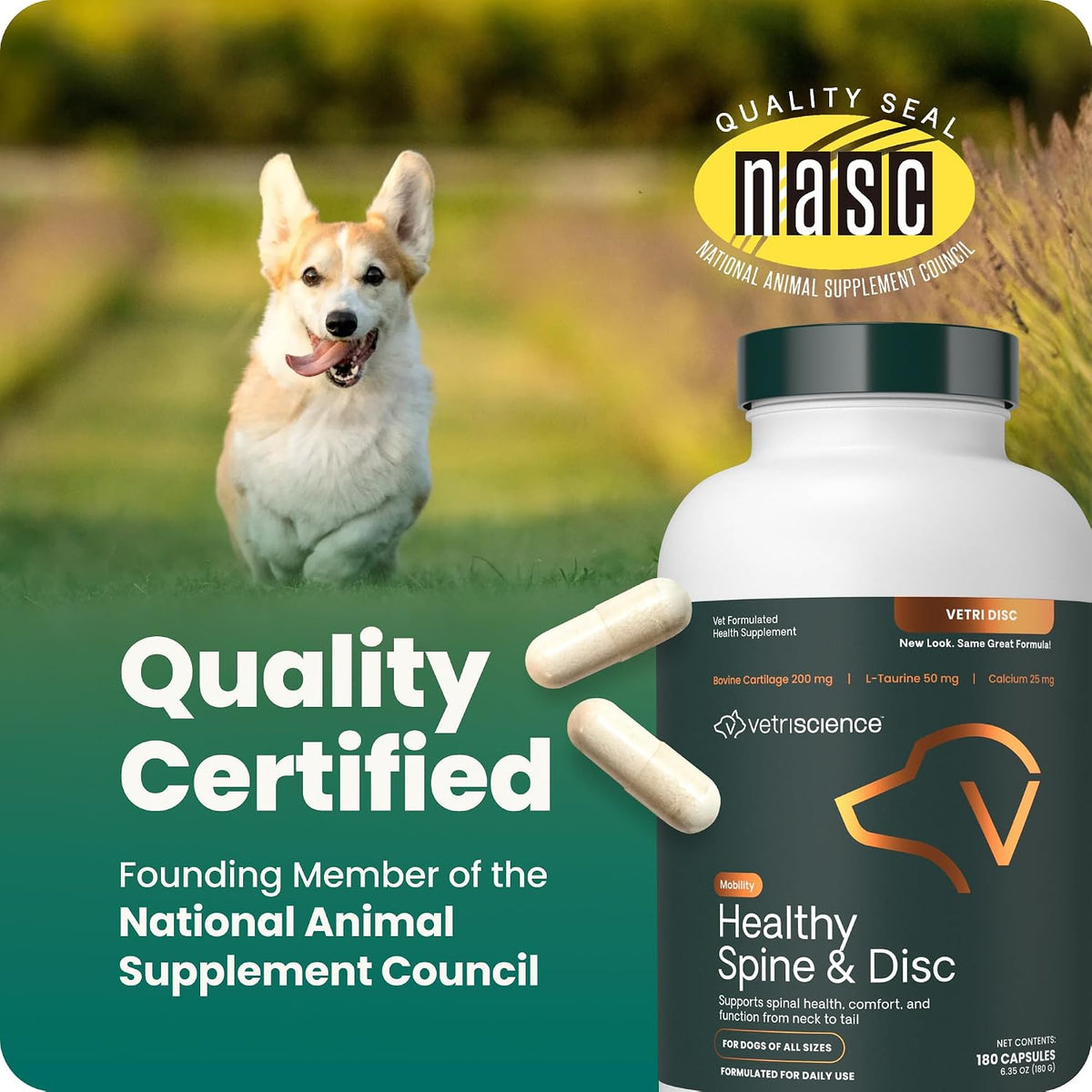 VetriScience Vetri Disc formula canine back and joint health support