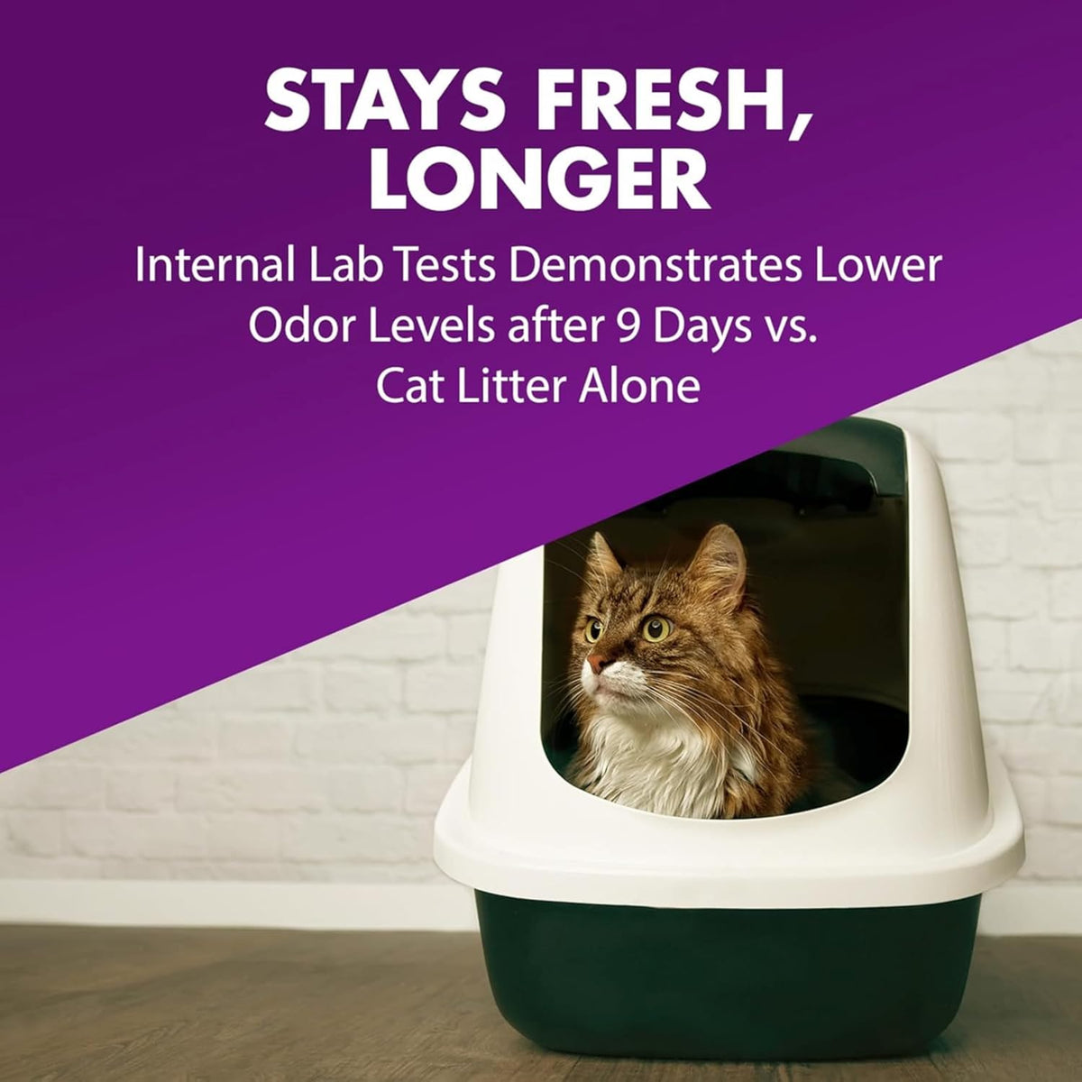 Arm & Hammer 30 Ounce litter deodorizer box highlighting urine and feces odor elimination benefits.