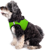 The Worthy Dog step-in harness reflective details