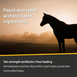 Silver Honey spray bottle with horse care application details