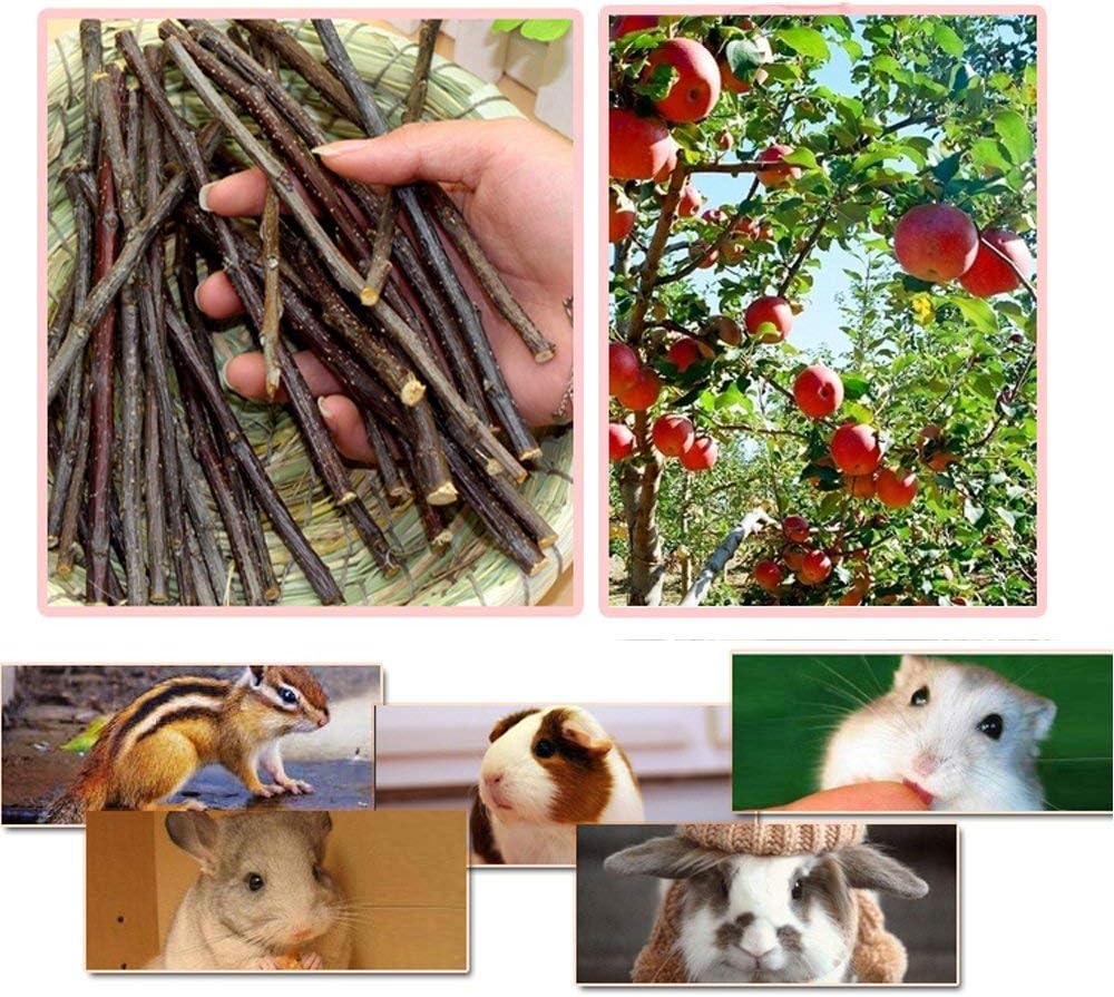 Natural dried apple wood branches for pet dental grinding care