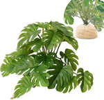 Keruideng Monstera Deliciosa artificial reptile plant front view