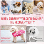 Nasjac small dog spay recovery suit side view on puppy.
