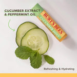 Burt's Bees natural skincare lip care stick ingredient details