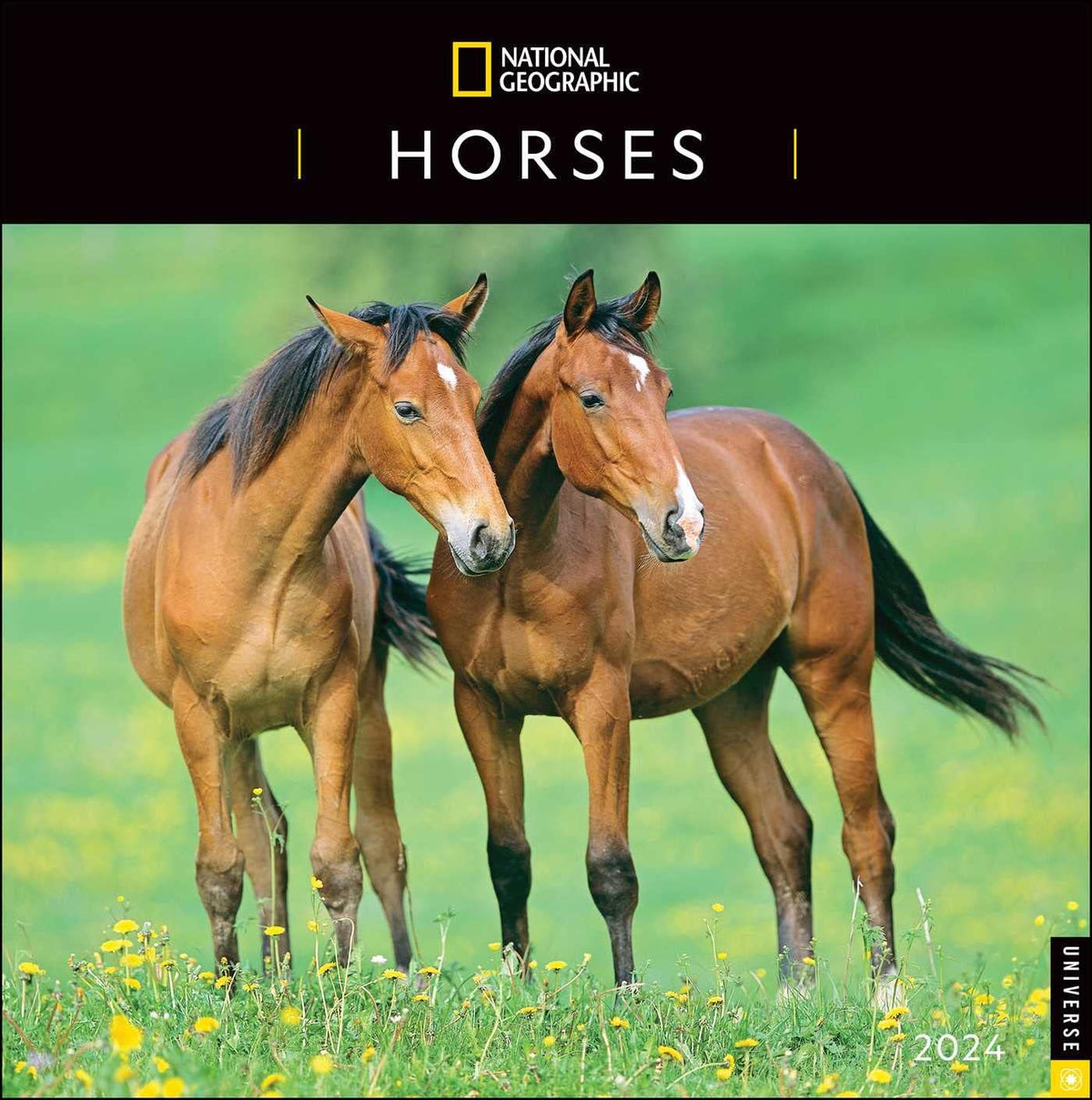 National Geographic: Horses 2024 Wall Calendar - Image 1