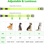 Vizpet USB rechargeable pet collar charging port