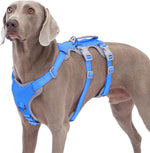 Authentic Huntboo imported safe outdoor dog training gear