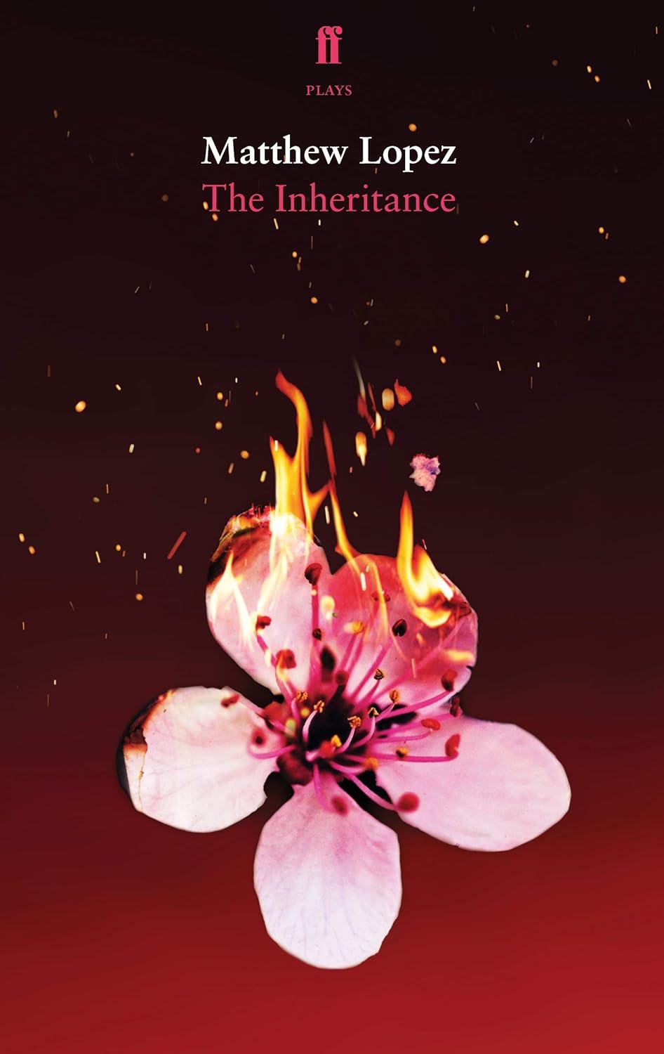 The Inheritance - Image 1