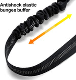 Collapsible silicone bowl included with pet seatbelt set
