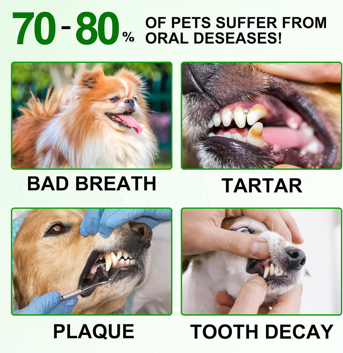 Qpets 50 pack container packaging details
